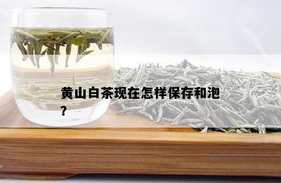 黄山白茶现在怎样保存和泡？