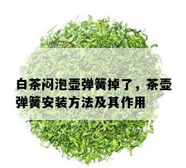 白茶闷泡壶弹簧掉了，茶壶弹簧安装方法及其作用