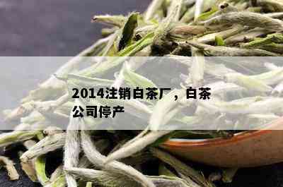 2014注销白茶厂，白茶公司停产