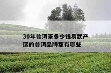 30年普洱茶多少钱易武产区的普洱品牌都有哪些