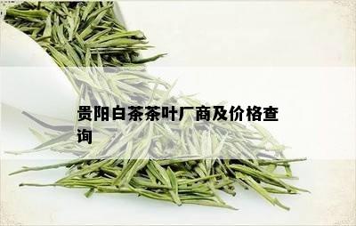 贵阳白茶茶叶厂商及价格查询