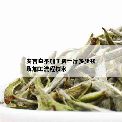 安吉白茶加工费一斤多少钱及加工流程技术