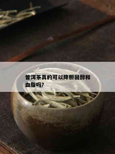 普洱茶真的可以降胆固醇和血脂吗？