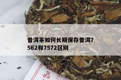 普洱茶如何长期保存普洱7562和7572区别