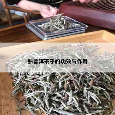 熟普洱茶子的功效与作用