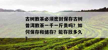 古树散茶必须密封保存古树普洱散茶一千一斤贵吗？如何保存和储存？能存放多久？