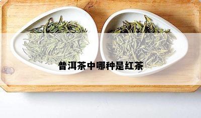 普洱茶中哪种是红茶