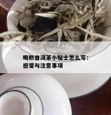 喝熟普洱茶小贴士怎么写：感受与注意事项