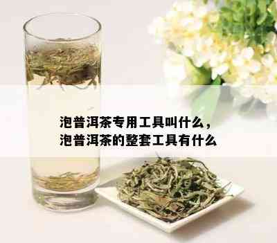 泡普洱茶专用工具叫什么，泡普洱茶的整套工具有什么