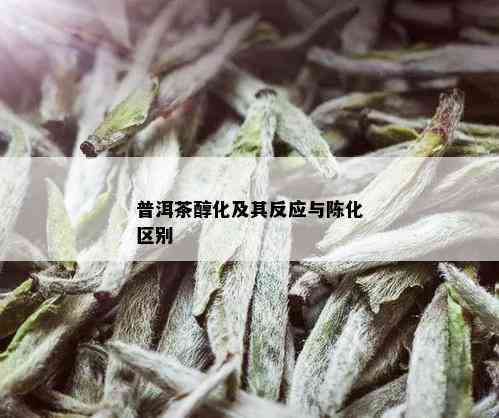 普洱茶醇化及其反应与陈化区别