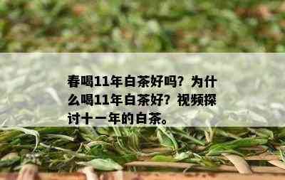 春喝11年白茶好吗？为什么喝11年白茶好？视频探讨十一年的白茶。