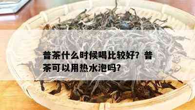 普茶什么时候喝比较好？普茶可以用热水泡吗？