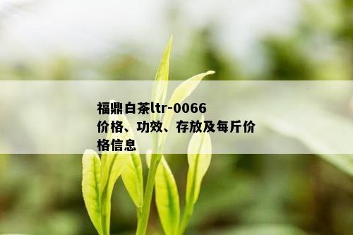 福鼎白茶ltr-0066价格、功效、存放及每斤价格信息