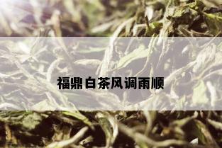 福鼎白茶风调雨顺