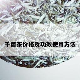 千菌茶价格及功效使用方法