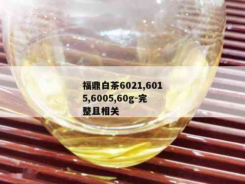 福鼎白茶6021,6015,6005,60g-完整且相关