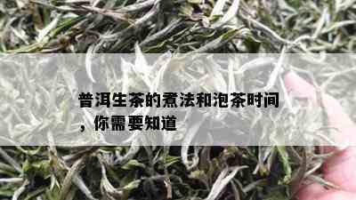 普洱生茶的煮法和泡茶时间，你需要知道