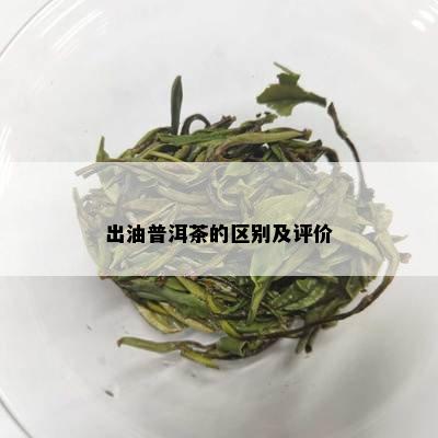 出油普洱茶的区别及评价