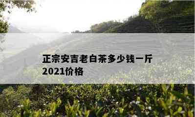 正宗安吉老白茶多少钱一斤2021价格