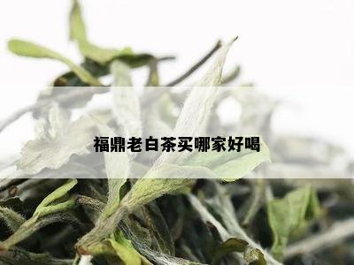 福鼎老白茶买哪家好喝