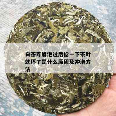 白茶寿眉泡过后捻一下茶叶就坏了是什么原因及冲泡方法