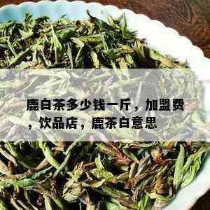 鹿白茶多少钱一斤，加盟费，饮品店，鹿茶白意思