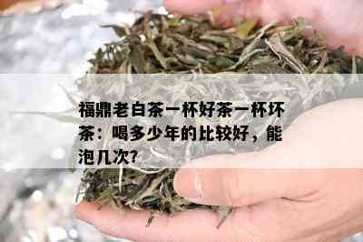 福鼎老白茶一杯好茶一杯坏茶：喝多少年的比较好，能泡几次？