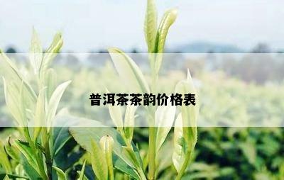 普洱茶茶韵价格表