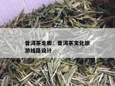 普洱茶走廊：普洱茶文化旅游线路设计