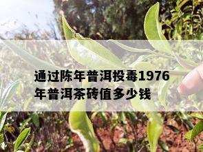 通过陈年普洱投1976年普洱茶砖值多少钱