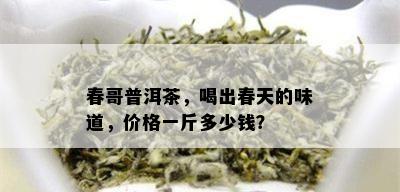 春哥普洱茶，喝出春天的味道，价格一斤多少钱？