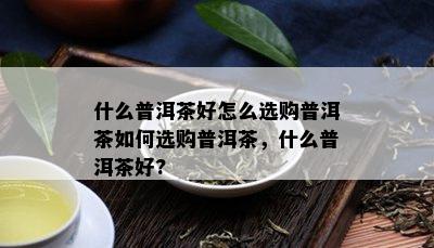 什么普洱茶好怎么选购普洱茶如何选购普洱茶，什么普洱茶好?