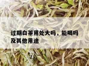 过期白茶用处大吗，能喝吗及其他用途