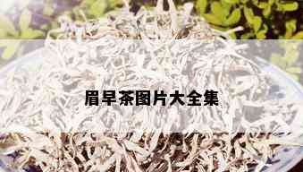 眉早茶图片大全集