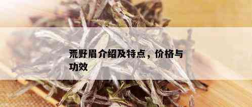 荒野眉介绍及特点，价格与功效