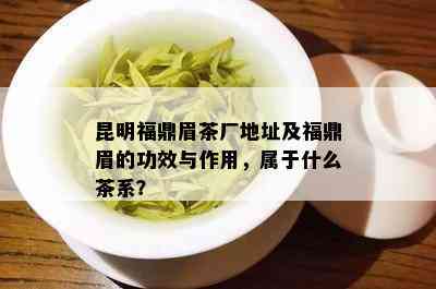 昆明福鼎眉茶厂地址及福鼎眉的功效与作用，属于什么茶系？