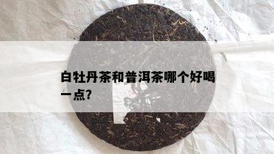 白牡丹茶和普洱茶哪个好喝一点？