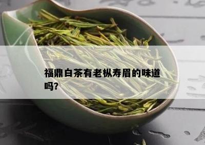 福鼎白茶有老枞寿眉的味道吗？