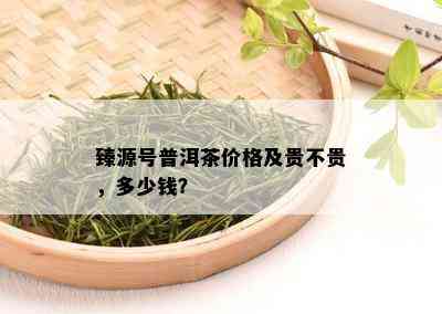 臻源号普洱茶价格及贵不贵，多少钱？