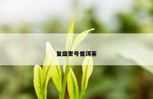 复盛奎号普洱茶