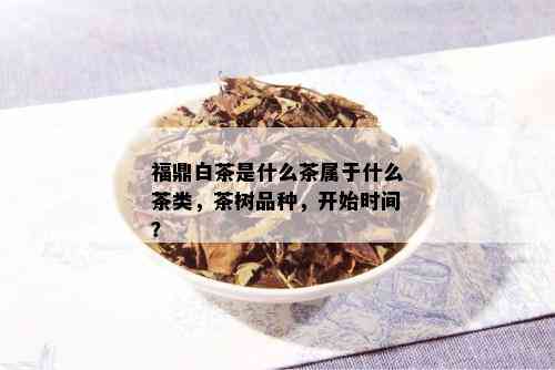 福鼎白茶是什么茶属于什么茶类，茶树品种，开始时间？