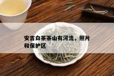 安吉白茶茶山有河流，照片和保护区