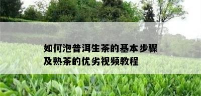 如何泡普洱生茶的基本步骤及熟茶的优劣视频教程