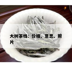 大树茶档：价格、意思、照片