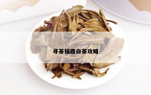 寻茶福鼎白茶攻略