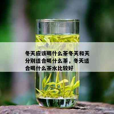 冬天应该喝什么茶冬天和天分别适合喝什么茶，冬天适合喝什么茶水比较好