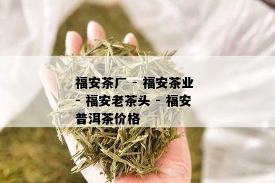 福安茶厂 - 福安茶业 - 福安老茶头 - 福安普洱茶价格