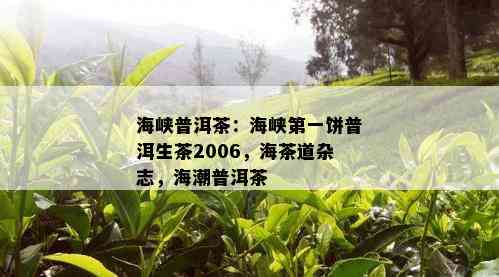 海峡普洱茶：海峡之一饼普洱生茶2006，海茶道杂志，海潮普洱茶