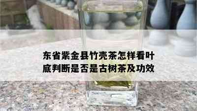 东省紫金县竹壳茶怎样看叶底判断是否是古树茶及功效