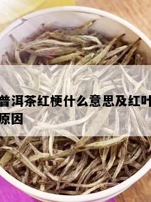 普洱茶红梗什么意思及红叶原因